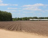 Les agriculteurs ontariens ont commencé à semer avant l'arrivée de la pluie.  