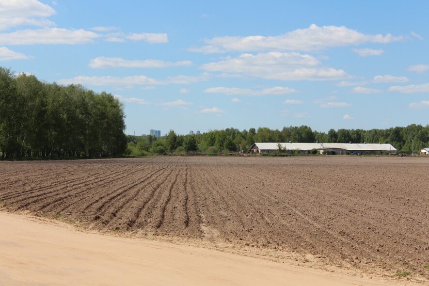 Les agriculteurs ontariens ont commencé à semer avant l'arrivée de la pluie.  