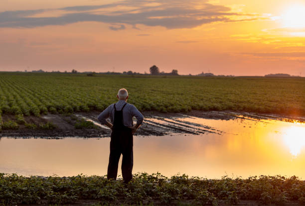 Les agriculteurs ontariens ont dû développer des astuces pour que la saison des semis ne prenne pas trop de retard.  