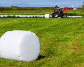 De la mise en ballot jusqu'aux contenants d'engrais et de pesticides, le plastique est encore omniprésent à la ferme.  