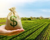 Signe des temps, les revenus agricoles sont en baisse en Ontario  
