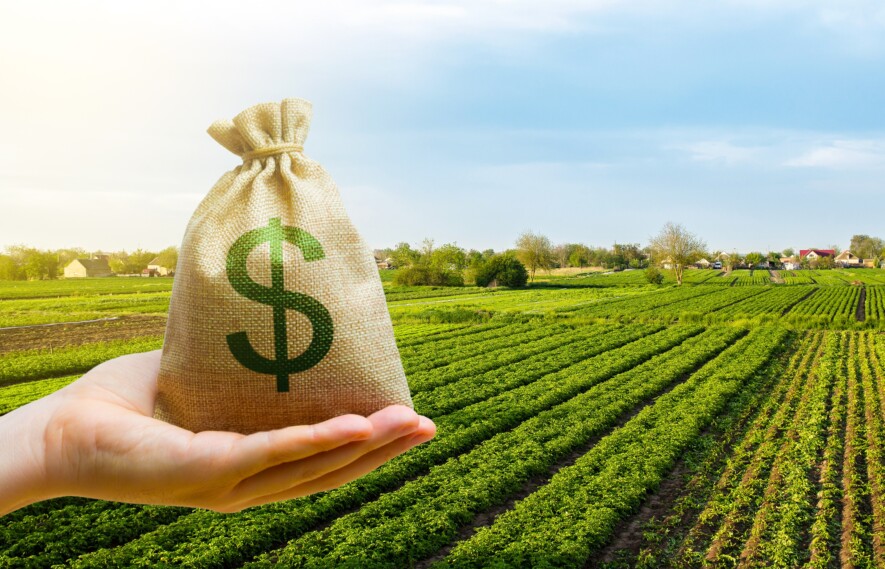 Signe des temps, les revenus agricoles sont en baisse en Ontario  