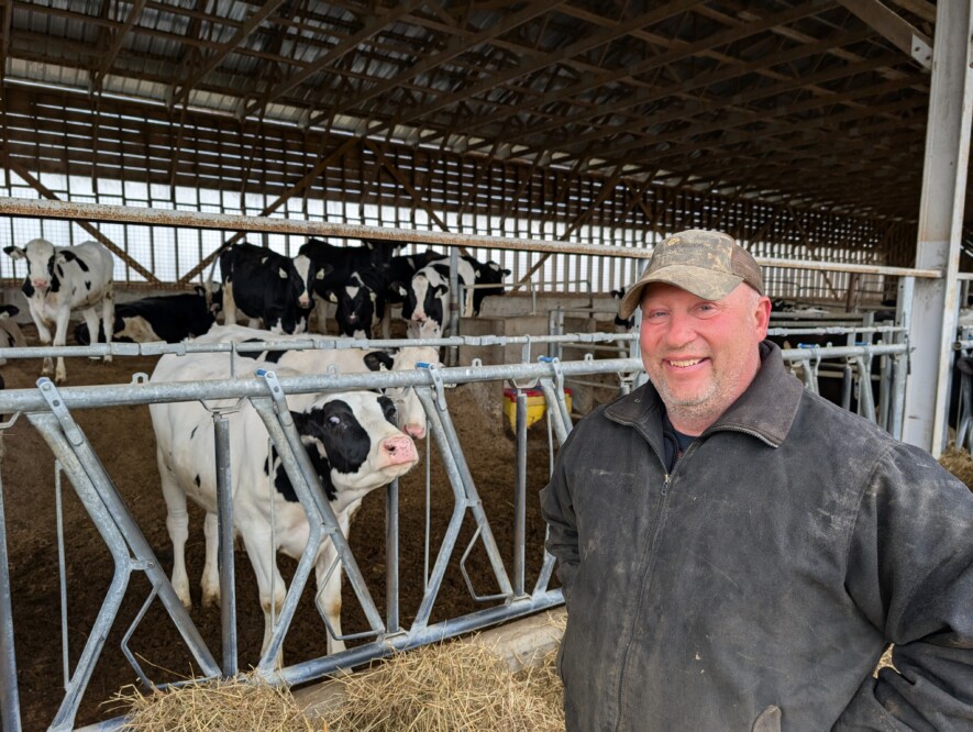 Il aura fallu près de 25 ans pour que la Ferme Francorive produise un profit.  