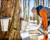 Un petit guide permet aux acériculteurs amateurs de mieux réussir leur projet de cabane à sucre.  