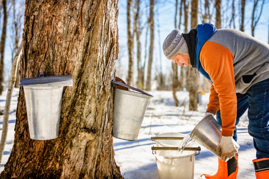 Un petit guide permet aux acériculteurs amateurs de mieux réussir leur projet de cabane à sucre.  