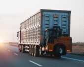 La canicule force les éleveurs à porter une attention particulière au bien-être des animaux, surtout durant leur transport.  