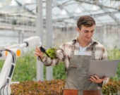 L'intelligence artificielle permettrait de réduire grandement les pertes à la ferme.   