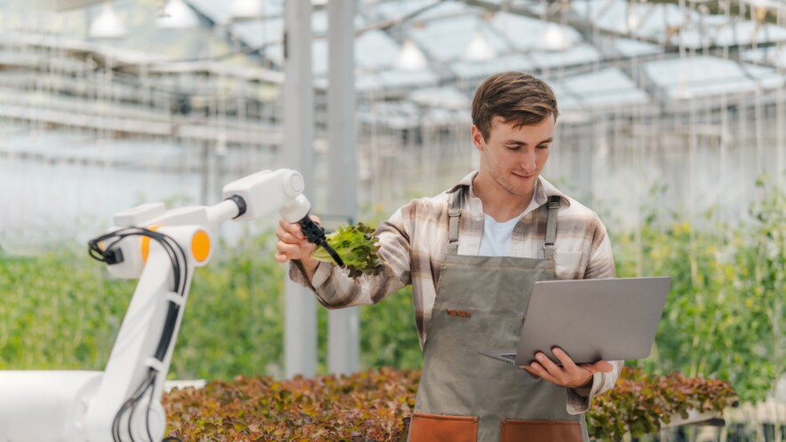 L'intelligence artificielle permettrait de réduire grandement les pertes à la ferme.   