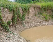 Sans bande de protection, l'érosion fait graduellement perdre du terrain et favorise l'accès d'engrais et de pesticides dans les cours d'eau.  