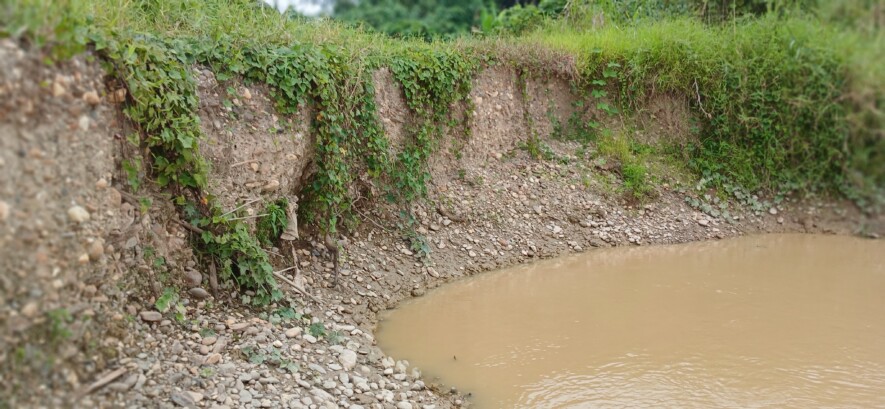 Sans bande de protection, l'érosion fait graduellement perdre du terrain et favorise l'accès d'engrais et de pesticides dans les cours d'eau.  