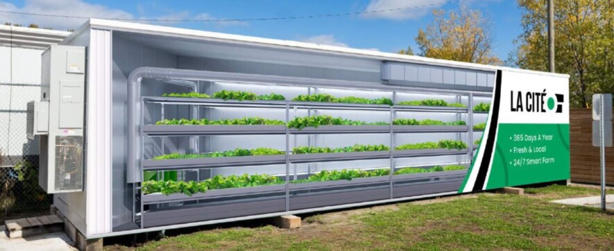 Représentation de l'une de deux unités de culture de plantes, incluant des installations de culture verticale à l'extérieur du Collège.  