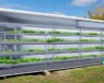 Représentation de l'une de deux unités de culture de plantes, incluant des installations de culture verticale à l'extérieur du Collège.  