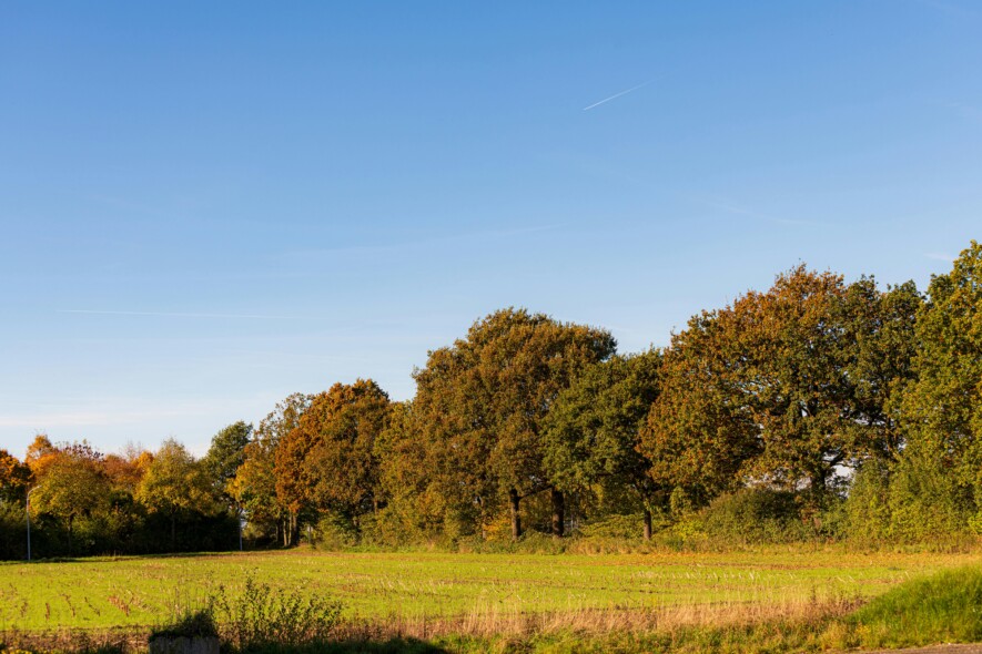 À bout de souffle, les agriculteurs n'arrivent pas à renouer avec la croissance économique.  &mdash; Pexels SK Strannik