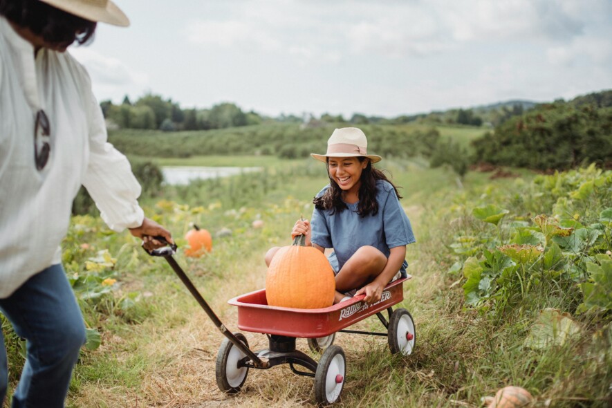 En 2025, oubliez la citrouille de 125 kilos, la récolte se fait plus modeste.  &mdash; Image Pexels Zen Chung