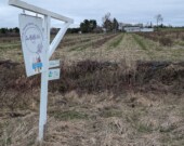 La ferme La belle vie est située dans la région de Sudbury.   