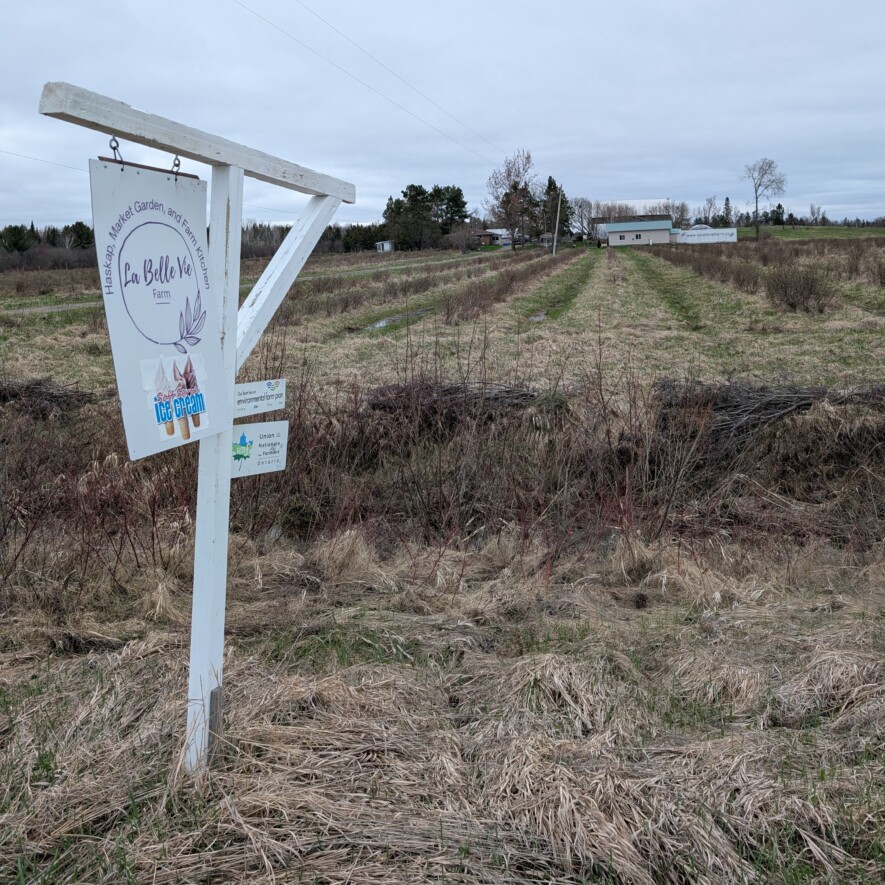 La ferme La belle vie est située dans la région de Sudbury.   
