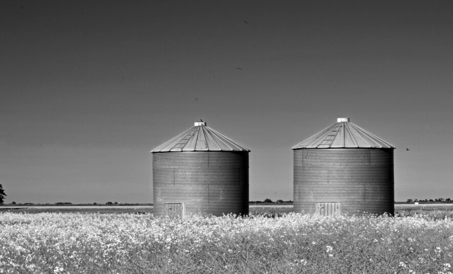 Le budget fédéral était en teintes de gris pour les agriculteurs canadiens. &mdash; Crédit photo: Image Pexels Deneen L. Treble.
