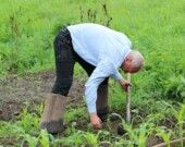 Nombreuses sont les terres agricoles qui ont au moins un lot qui refuse de collaborer. &mdash; Crédit photo:  Image Pexel. 