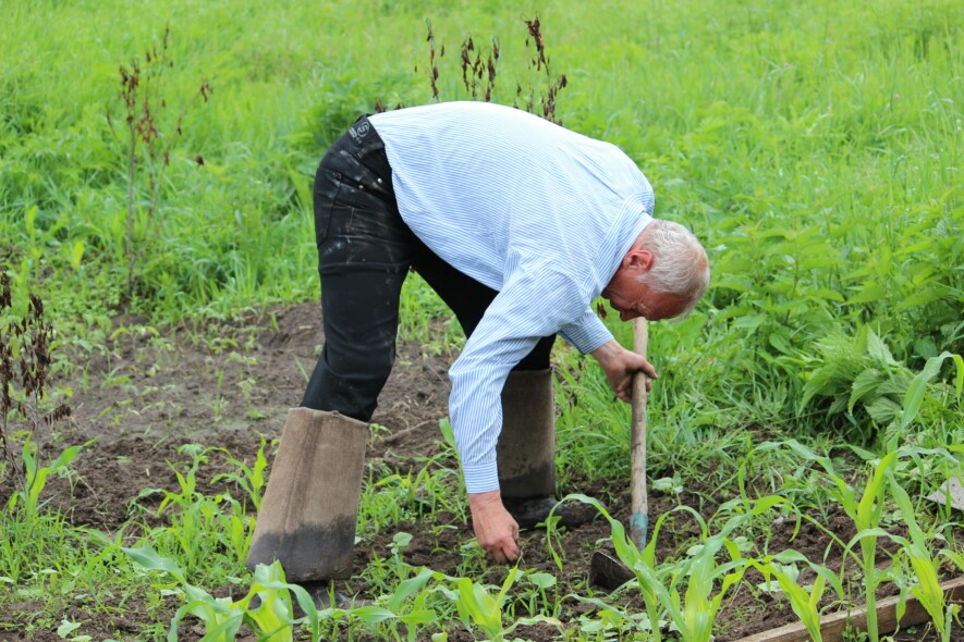 Nombreuses sont les terres agricoles qui ont au moins un lot qui refuse de collaborer. &mdash; Crédit photo:  Image Pexel. 