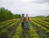 La relève agricole fait face à de nombreux défis.  &mdash; Crédit photo: Image Pexels Shvetsa. 