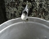 Contrairement au reste du Canada, la production ontarienne de sirop d'érable était en hausse en 2025.  &mdash; Image Pexels Salome Maydron. 
