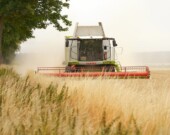 Financement agricole Canada constate que l'année 2026 sera difficile à prévoir pour l'industrie agroalimentaire canadienne. &mdash; Crédit photo : Pixabay.