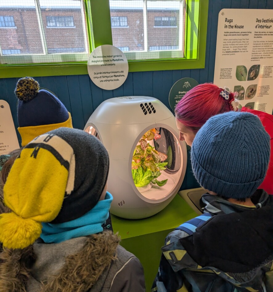 Découverte d’un système d’hydroponie à brumisation au Musée de l’agriculture. &mdash; Crédit photo : P. de Montigny