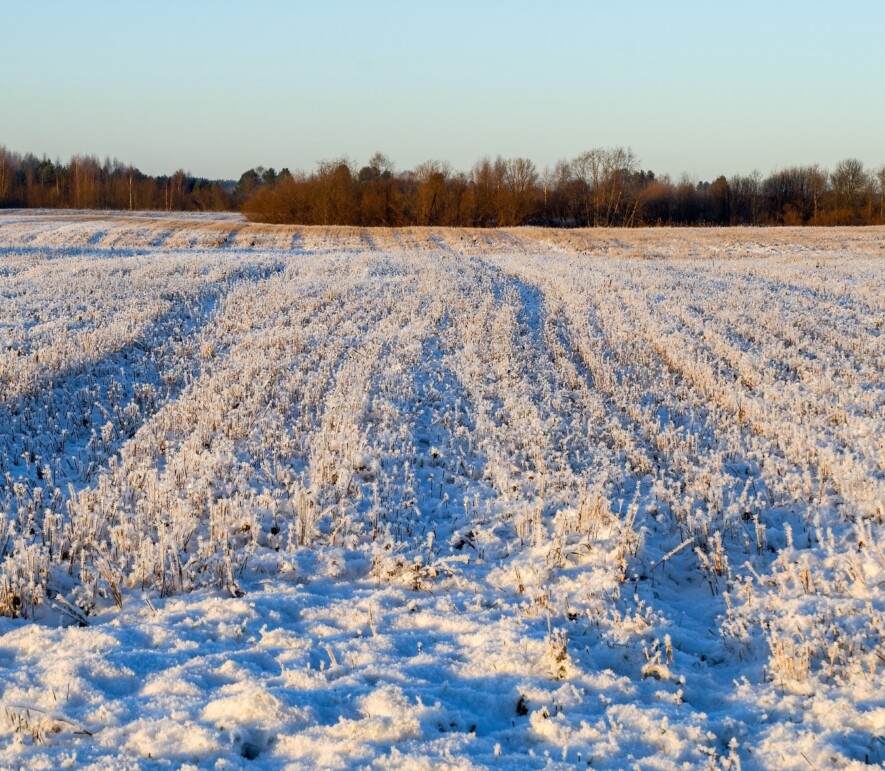 Champs enneigés ou non, les agriculteurs sont toujours occupés. &mdash; Crédit photo : Pexels