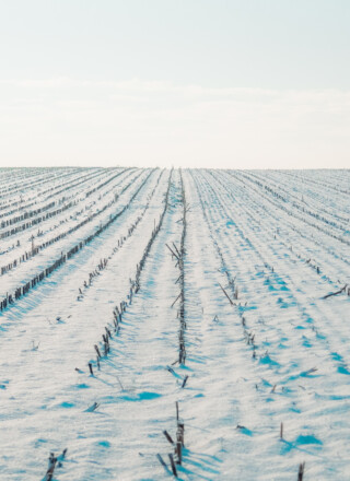 PHOTO : MotionArray  