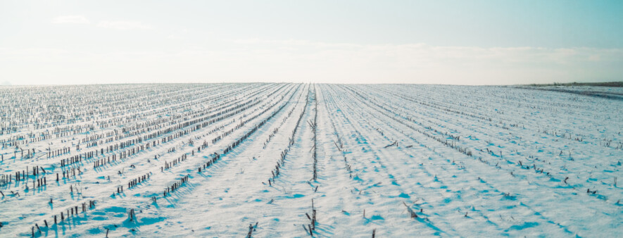 PHOTO : MotionArray  