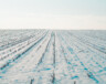 PHOTO : MotionArray  