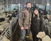 Ludovic et Jennifer Villeneuve se sont connus à l’émission L’amour est dans le pré. Ils ont aujourd’hui six enfants et… 200 brebis! &mdash; PHOTO : Marc-Olivier Bisson