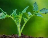  PHOTO : Envato