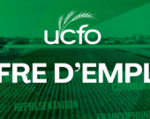   PHOTO: Union culturelle des Franco-Ontariennes