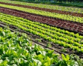   PHOTO : Envato