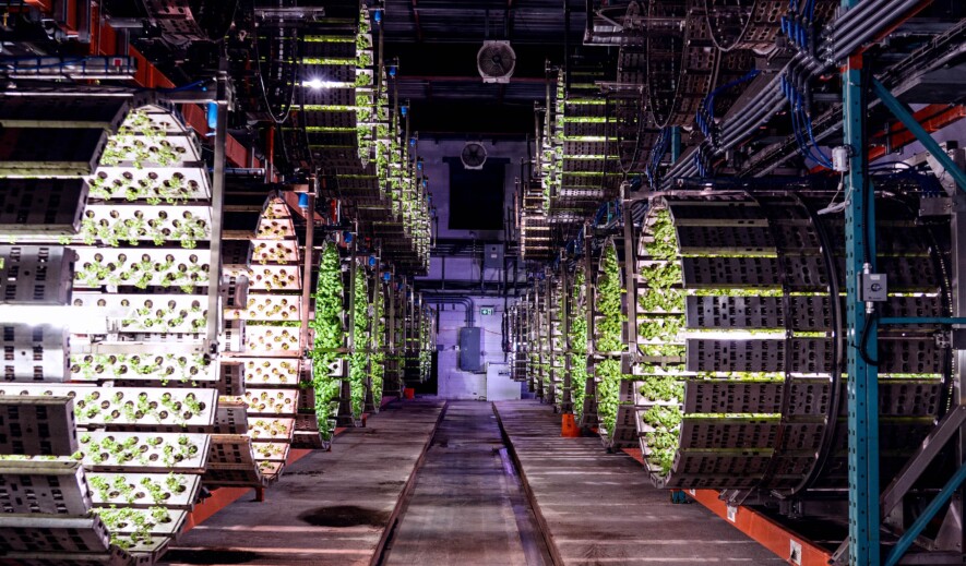 L’hydroponie permet de cultiver en environnement contrôlé toute l’année, près des marchés.  &mdash; PHOTO : Ferme Marseni