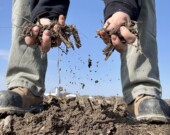 Chaque printemps, des milliers d'agriculteurs canadiens se mettent les doigts dans la terre pour entreprendre la nouvelle saison de culture. &mdash; PHOTO : Sandra Clément