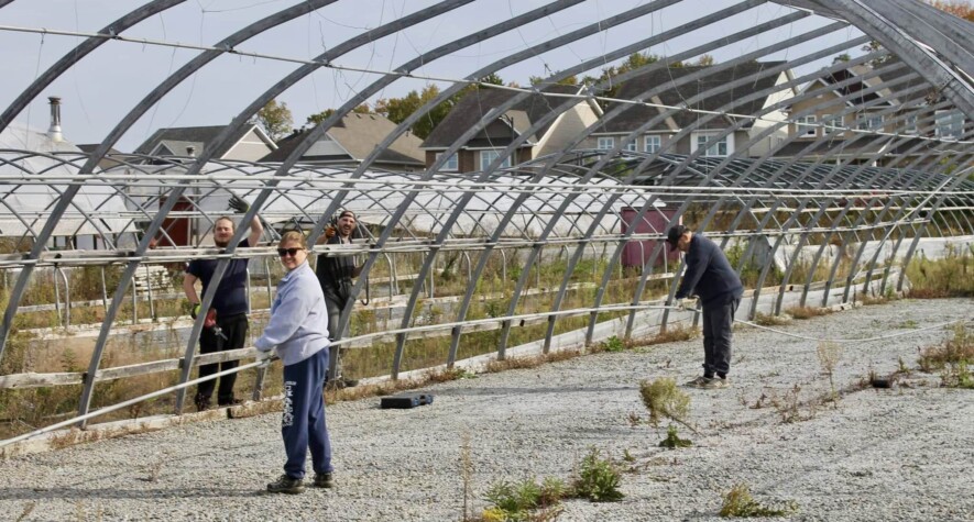 Pour démarrer une entreprise agricole quand on n'a pas grandi sur une ferme, il vaut mieux bien planifier et bien s'entourer.   &mdash; PHOTO : Fermavie