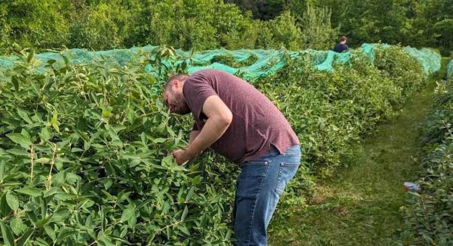 Pour les petits fruits et autres produits locaux, les producteurs doivent consacrer beaucoup d'efforts à la mise en marché. &mdash; PHOTO : Les Fruits du Poirier