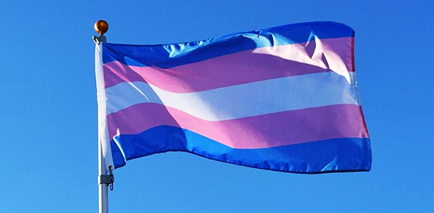 Voici le drapeau de la fierté transgenre. Au centre, le blanc représente la non-binarité, le bleu (haut et bas) représente les hommes trans et le rose représente les femmes trans. Photo Istock  