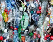 En 2020, chaque Yukonnais et Yukonnaise a généré en moyenne 920 kilogrammes de déchets et détourné 25 % de ces déchets des sites d’enfouissement, selon le plus récent rapport sur le recyclage au territoire publié par le gouvernement.
 &mdash; Photo : Pixabay