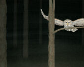 Image fixe de Ghost Owl (La chouette fantôme), animation en boucle/GIF, 2022. &mdash; Photo : Chantal Rousseau