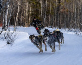 Dans les virages, avec la vitesse, un des patins du traîneau peut se soulever du sol. Cela explique pourquoi les traîneaux doivent être si flexibles. — Photo : Ray-Marnoch