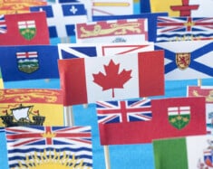   Photo : acelf.ca