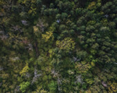   Photo : Unsplash / Olena Sergienko