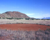 « Cercle de fées » en Namibie. &mdash; Photo : Wikimedia Commons