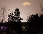 La pollution lumineuse a des effets néfastes non seulement sur la faune, mais aussi sur l’être humain. &mdash; Photo : Manon Touffet