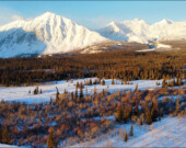 Selon les personnes résidentes, le projet d’installation de traitement des sols contaminés dans la vallée de l’Alsek entraînerait des conséquences néfastes tant sur l’environnement que sur les personnes vivant à proximité du site. Ces dernières suggèrent d’autres endroits où mener ce projet. &mdash; Photo : Fournie