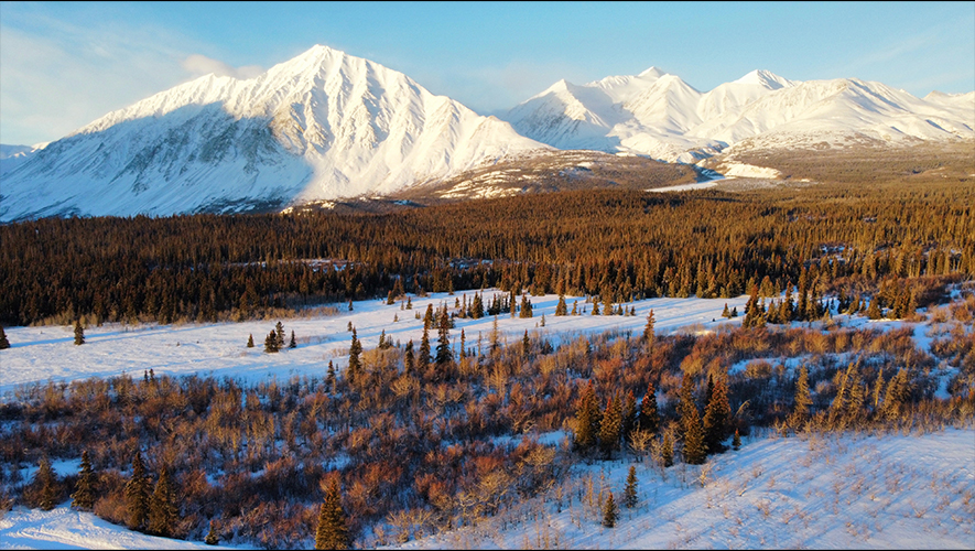 Selon les personnes résidentes, le projet d’installation de traitement des sols contaminés dans la vallée de l’Alsek entraînerait des conséquences néfastes tant sur l’environnement que sur les personnes vivant à proximité du site. Ces dernières suggèrent d’autres endroits où mener ce projet. — Photo : Fournie