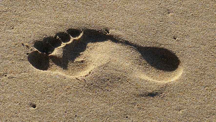   Photo : Pixabay
